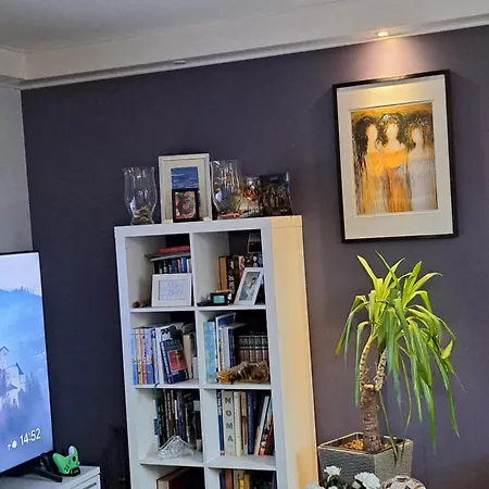 Hjemme Koselig Og Sentralt Daire